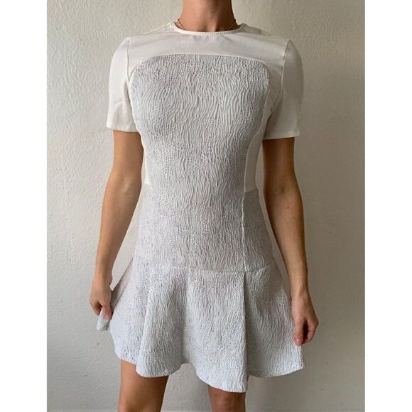 Opening Ceremony Dresses & Skirts - Opening Ceremony Pleated Bodycon Fit and Flare Dress | White + Light Gray SZ0